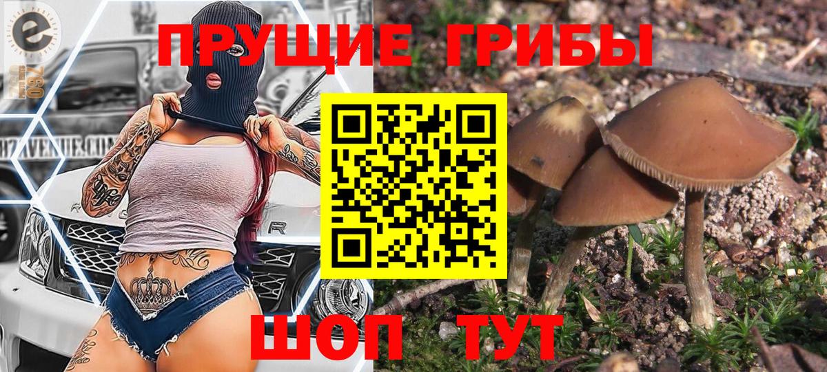 Армавир  Галлюциногенные грибы GOLDEN TEACHER  Вход с VPN 